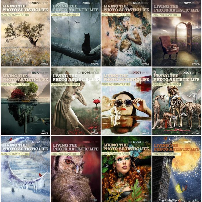 [电子书籍教程]过上摄影艺术生活-2021年全年1-12期 Living the Photo Artistic Life 2021
