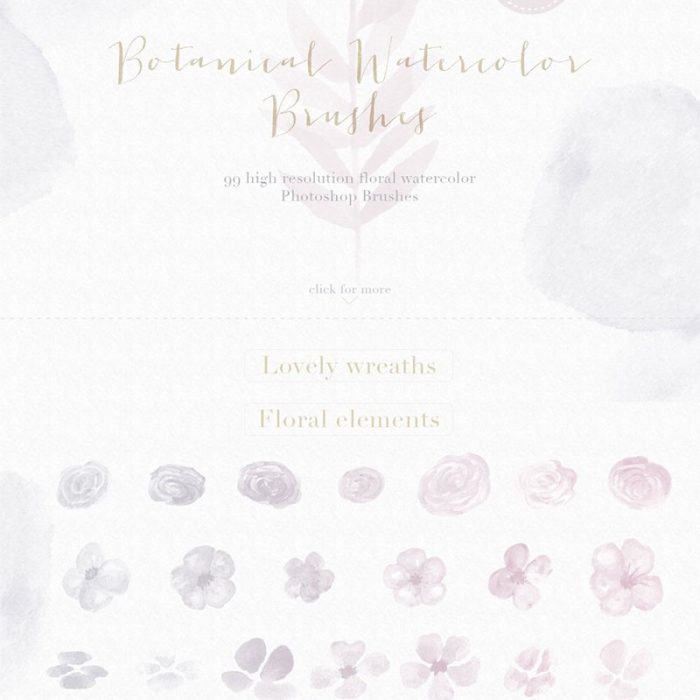 [装饰花纹笔刷][插件发布]水彩花纹花卉绘画Photoshop笔刷