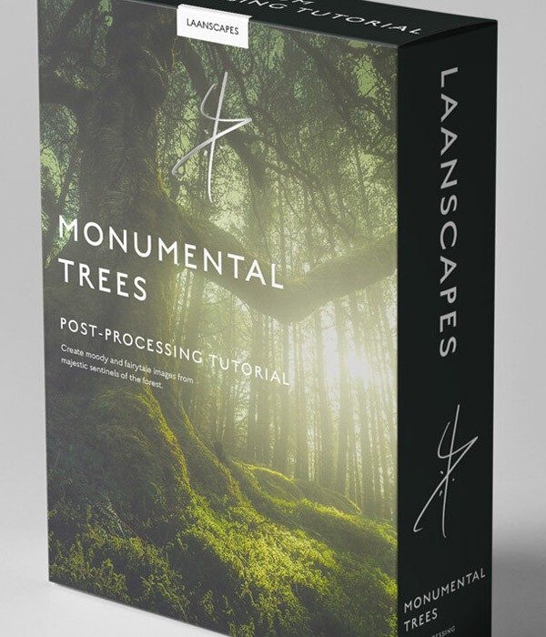 [风光摄影教程]Laanscape -风光摄影大师Daniel Laan纪念树森林风光全流程及素材
