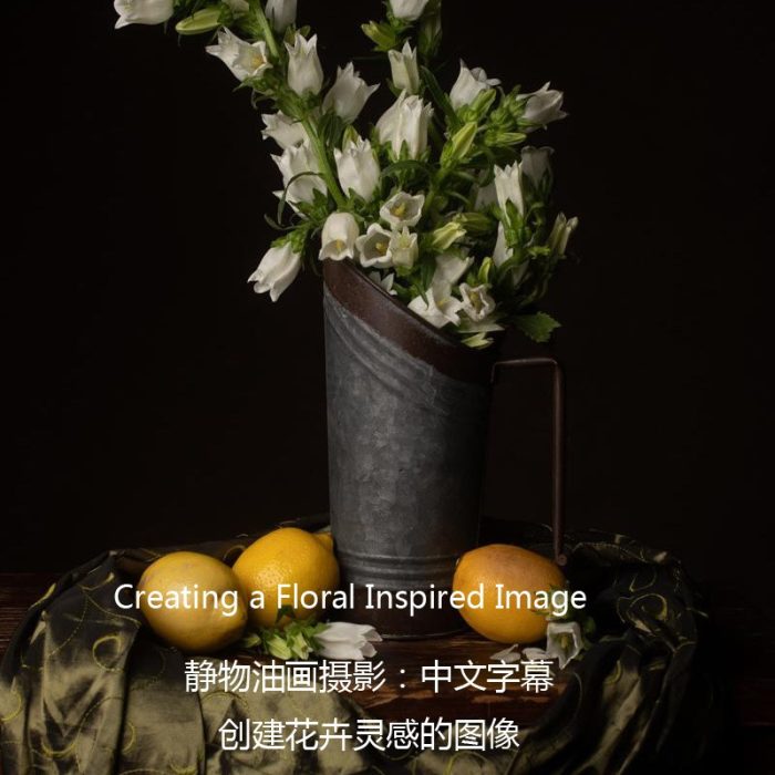 [产品静物摄影]静物油画摄影-创建灵感花卉油画风格摄影布光教程-中文字幕