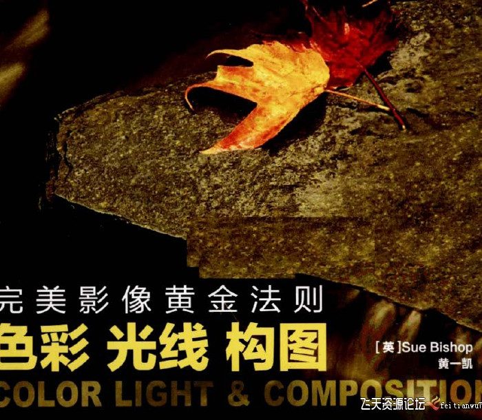 [电子书籍教程][教程发布]完美影像黄金法则 色彩 光线 构图