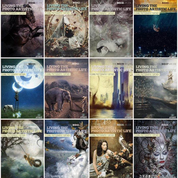 [电子书籍教程]过上摄影艺术生活-2018年全年1-12期 Living the Photo Artistic Life 2018