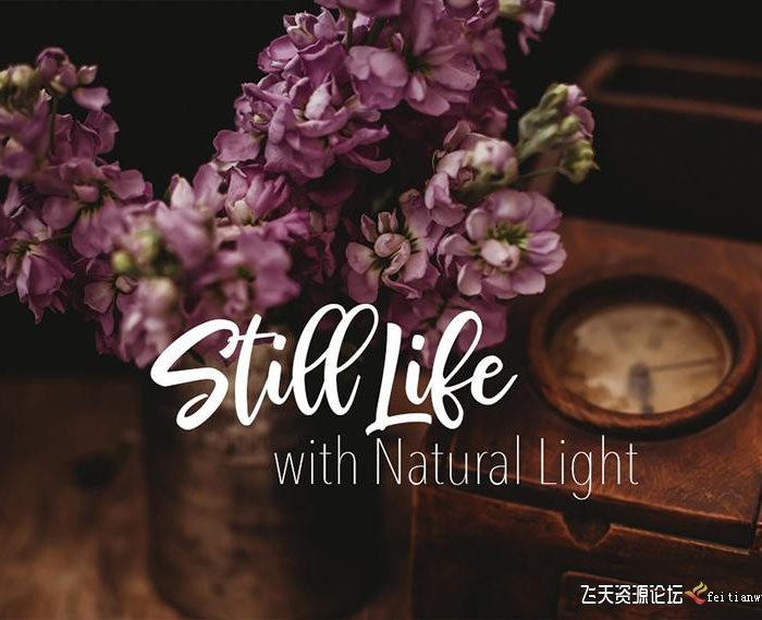 [产品静物摄影]摄影师 Carolyn Watson 自然光静物产品图像摄影教程-中英字幕