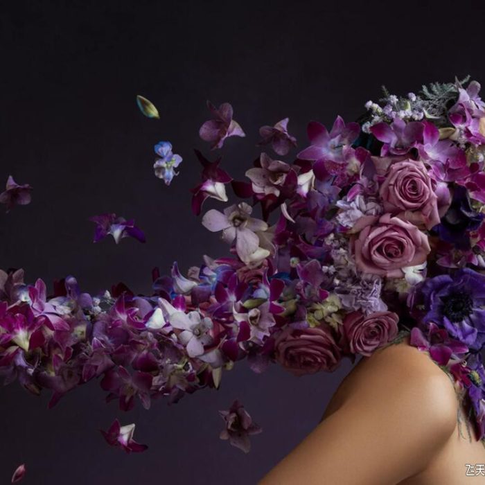 [人像摄影教程]工作室人像摄影从1-5盏灯7种不同人像照明风格教程-中英字幕