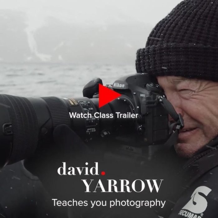 [风光摄影教程]摄影大师(David Yarrow)野生动物纪实黑白摄影教程-中英字幕