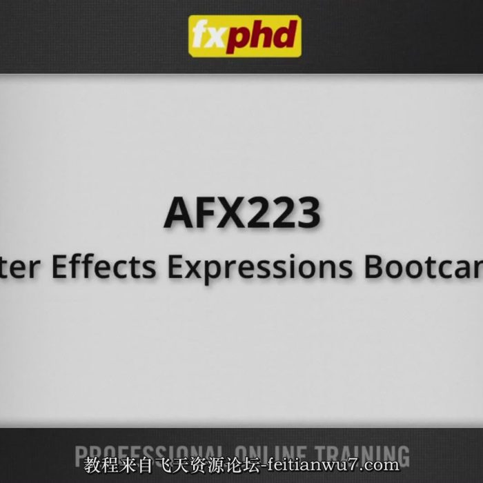 [DaVinci Resolve教程][教程发布]AE表达式全面介绍学习AE教程-中文字幕