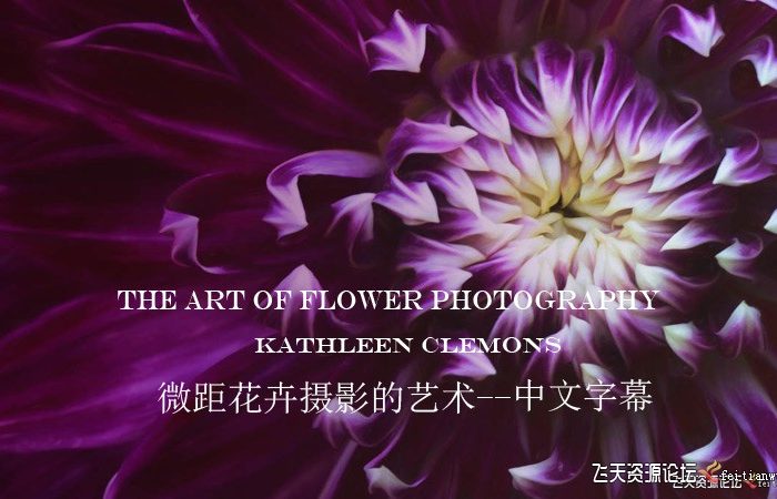 [风光摄影教程]Kathleen Clemons -The Art of Flower Photography微距花卉摄影-中文字幕