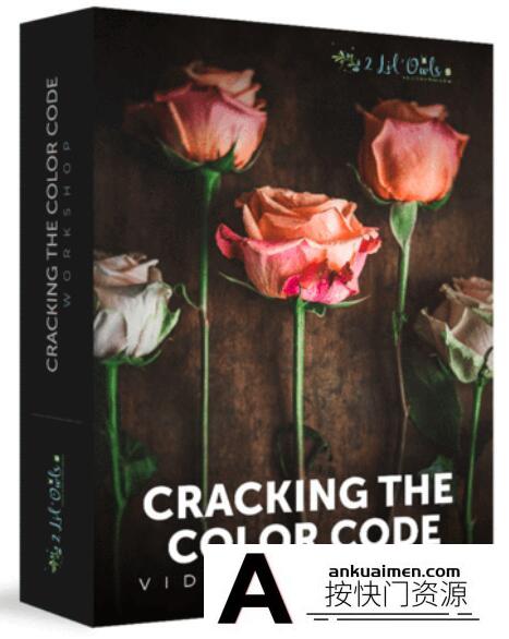 [产品静物摄影]Lenslab –静物花卉产品摄影掌握色彩突破艺术界限研讨会-中文字幕