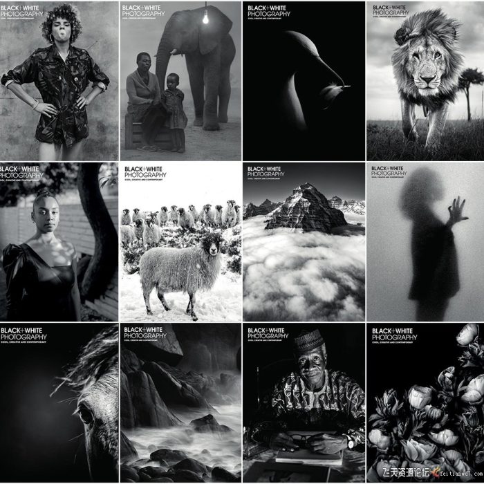 [电子书籍教程]黑白摄影-2021年全年系列12期 Black White Photography Full Year 2021