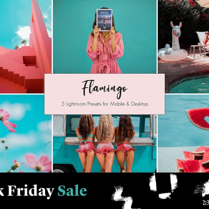 [旅拍LR预设]适用于时尚旅拍人像浅绿粉红色调LR预设+APP预设 Flamingo Lightroom Presets