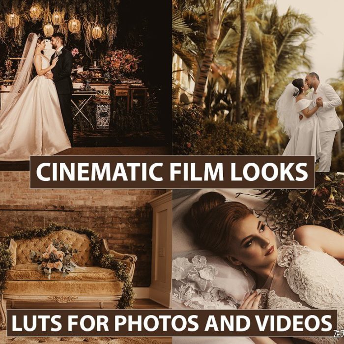 适用于婚礼跟拍视频Vlog后期剪辑LUT调色预设  Wedding Tones LUTs
