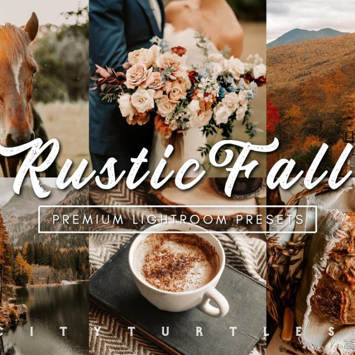 [人像LR预设]乡村秋季婚礼人像Lightroom预设与手机版LR预设 Rustic Fall Moody Lightroom Presets