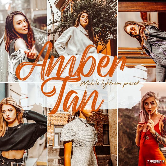 [旅拍LR预设]琥珀棕褐色旅拍人像Insta滤镜LR预设/手机滤镜 Amber Tan Lightroom Presets
