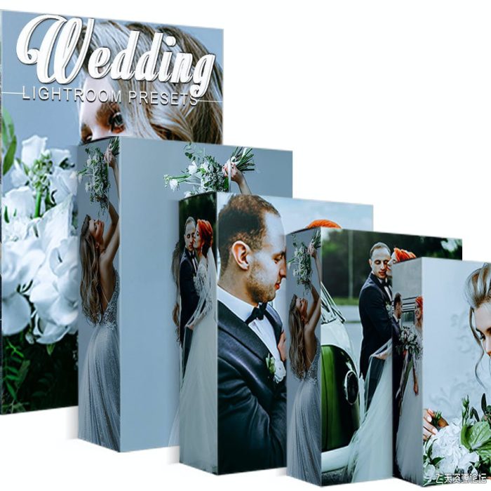 [婚礼LR预设]高端电影婚礼Lightroom预设与移动lr预设 Wedding Lightroom Presets