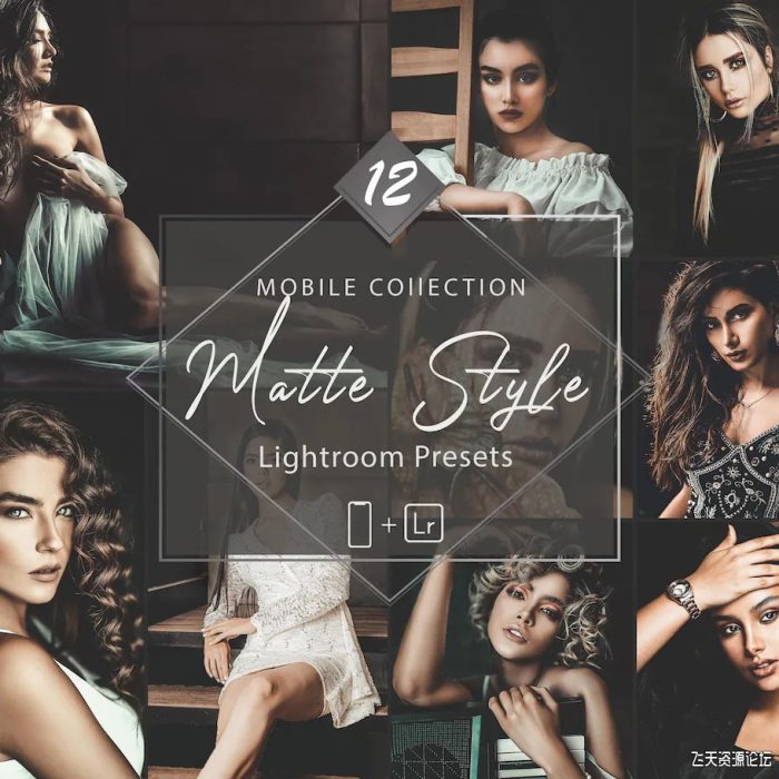 [人像LR预设]12个深色哑光人像调色Lightroom预设 12 Mobile Lightroom Presets, Matte Style