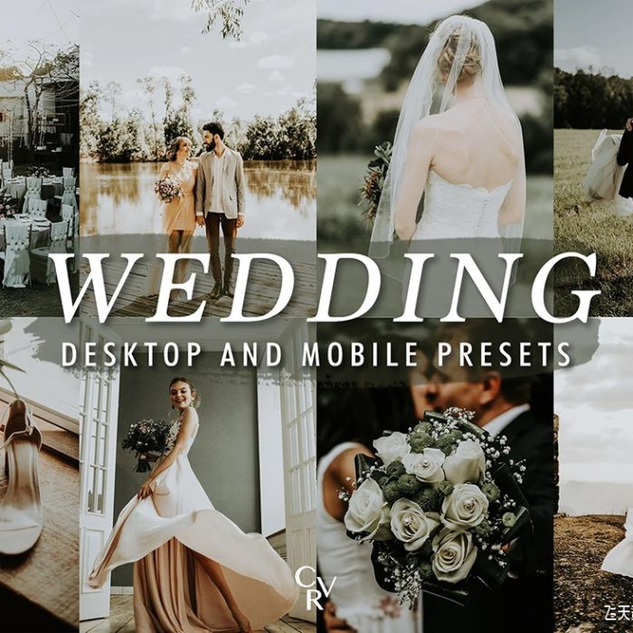 [婚礼LR预设]10个电影胶片婚礼Lightroom预设 10 Wedding Lightroom Presets