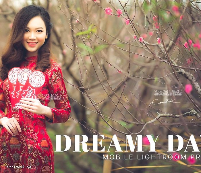 [手机版lr预设]梦幻色彩增强手机版LR预设 Dreamy Days Lightroom Mobile Presets