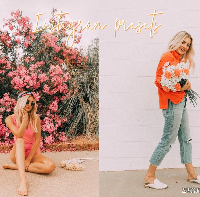 [手机版lr预设]明亮Ins风手机版LR预设 Aspyn Ovard Instagram Pack Mobile Presets
