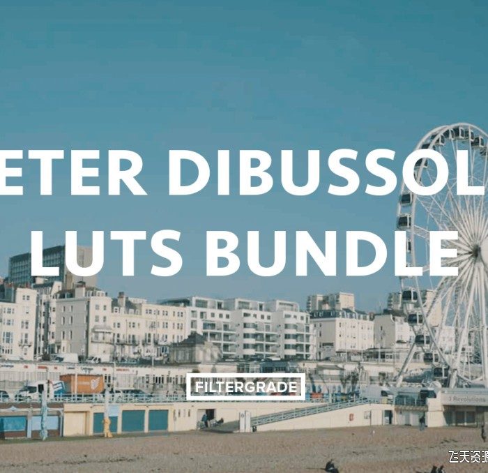 怀旧电影LUTs预设-摄影师Peter Dibussolo电影视频调色LUTs预设