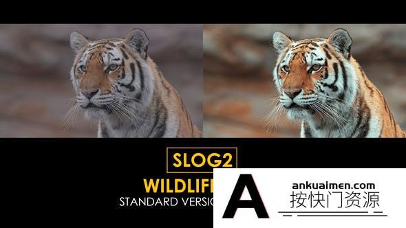 15个索尼Slog2野生动物电影视频调色LUT预设和Rec709标准LUT预设