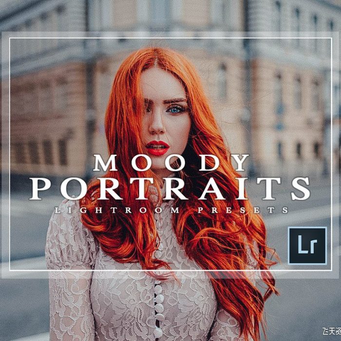 [人像LR预设]温哥华摄影师 Adam 情绪人像电影胶片Lightroom预设 Moody Lightroom Presets