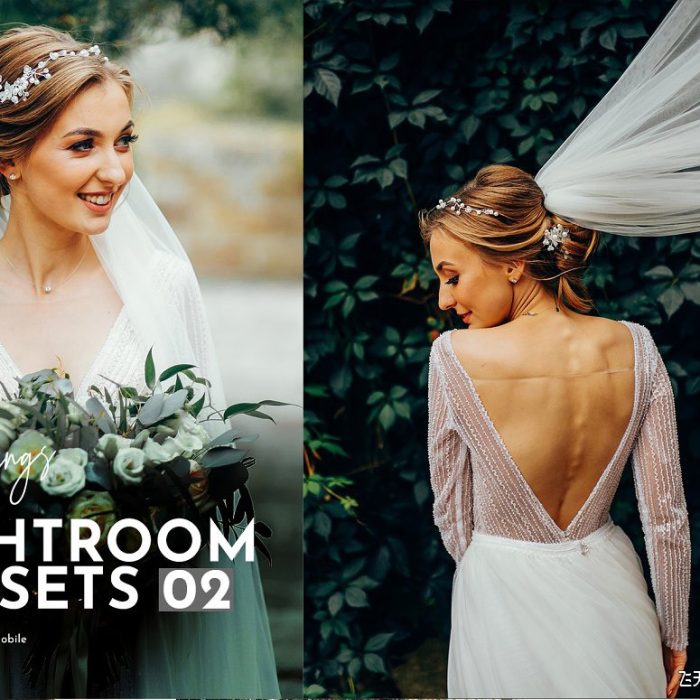[婚礼LR预设]订婚婚纱情绪人像Lightroom预设/移动APP预设 Weddings Lightroom Presets