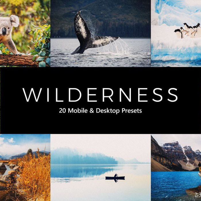 [风光LR预设]背包客旅拍风光胶片Lightroom预设/APP预设/LUTs预设 Wilderness LR Presets+LUTs