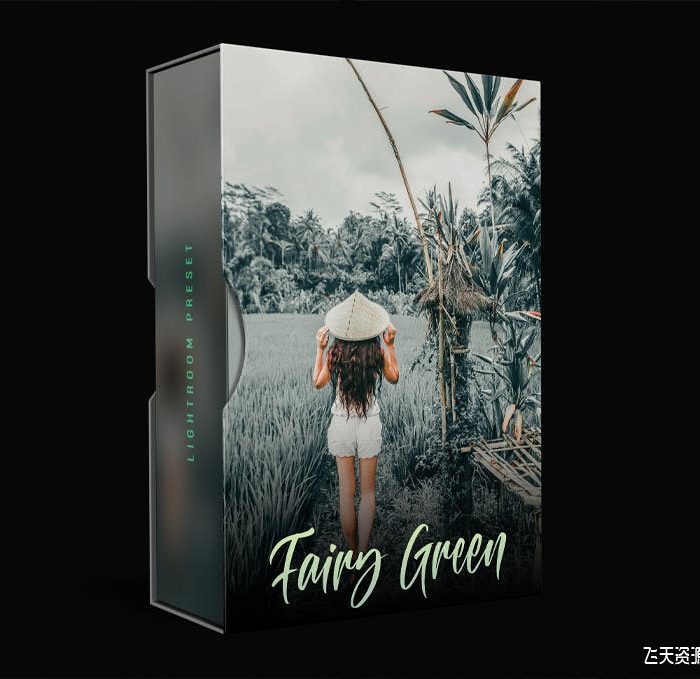 [人像LR预设]童话般仙女绿INS风格人像Lightroom预设 Fairy Green – Lightroom Preset