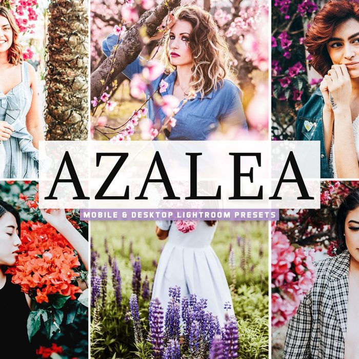 [人像LR预设]外拍杜鹃花海人像LR预设+移动LR预设 Azalea Lightroom Presets
