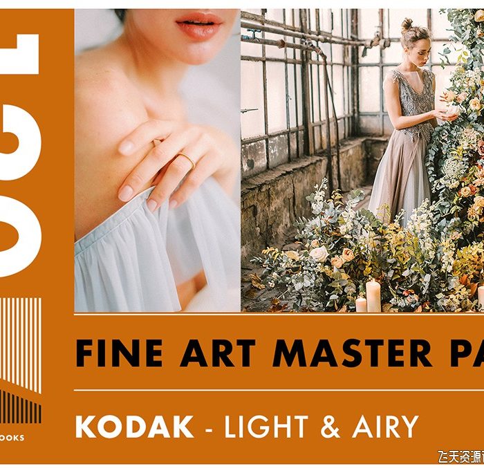 [胶片LR预设]FilmsLooks – 柯达电影胶卷大师包Lr预设 FilmsLooks – Kodak Master Pack