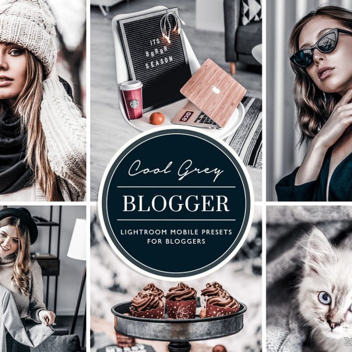 [人像LR预设]Insta网红灰调人像LR预设+APP预设 Instagram Blogger Lightroom Presets