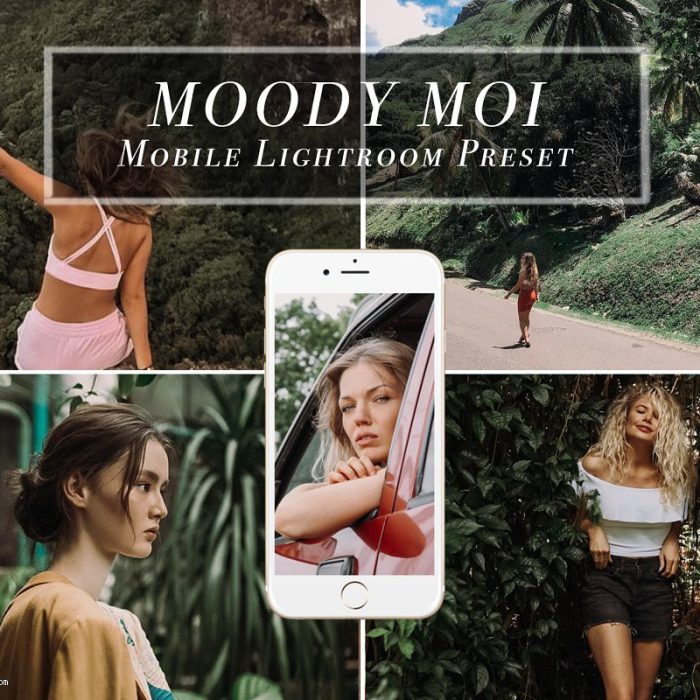 [手机版lr预设]田园森系效果手机版LR预设 Mobile Lightroom Preset MOODY MOI