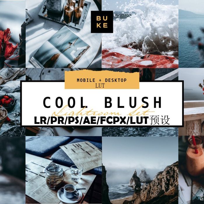 [旅拍LR预设]INS风霸气中性灰冷色系Lightroom预设/手机APP/PR/PS/AE/FCPX/LUT滤镜