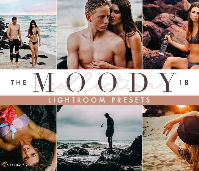 [人像LR预设]现代温馨婚礼人像桌面+移动Lightroom预设Moody Lightroom Presets