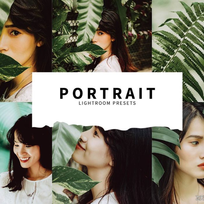 [人像LR预设]森系电影人像Lightroom预设 10 Portrait Lightroom Presets