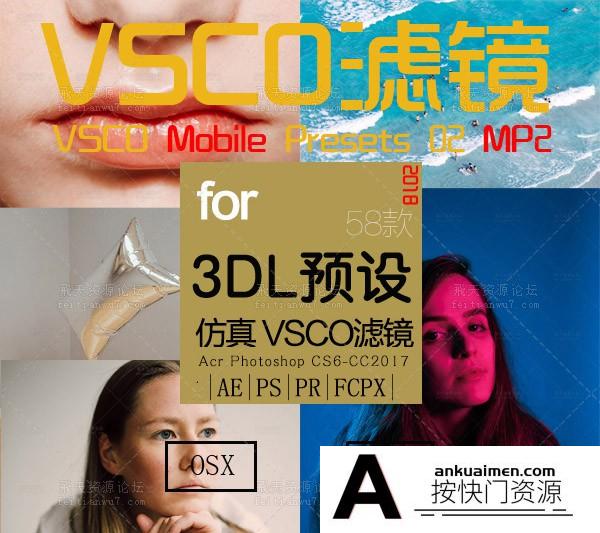 VSCO全滤镜转LUTs预设3D LUTs Mobile MP2人像日系婚礼胶片LUTs预设