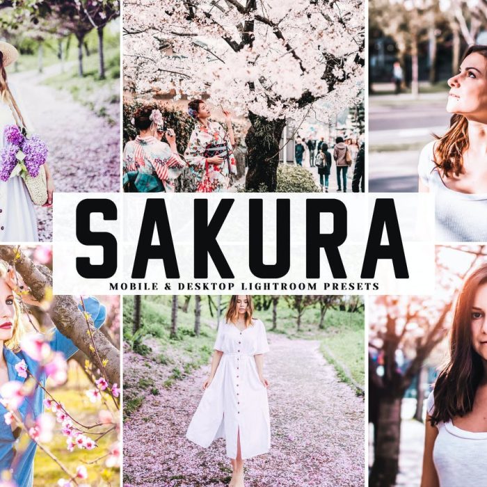 [人像LR预设]樱花粉彩外拍人像胶片Lightroom预设与APP预设 Sakura Lightroom Presets