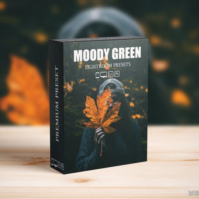 [旅拍LR预设]深绿色后期Lightroom预设Moody Dark Green Lightroom Presets