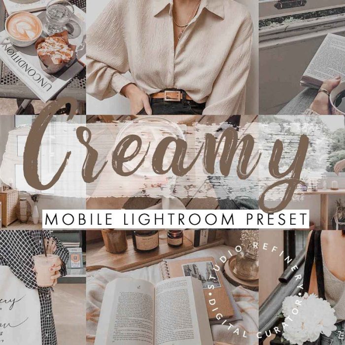 [人像LR预设]莫兰迪系列奶油灰调LR预设+移动APP预设Creamy Nude Lightroom Presets