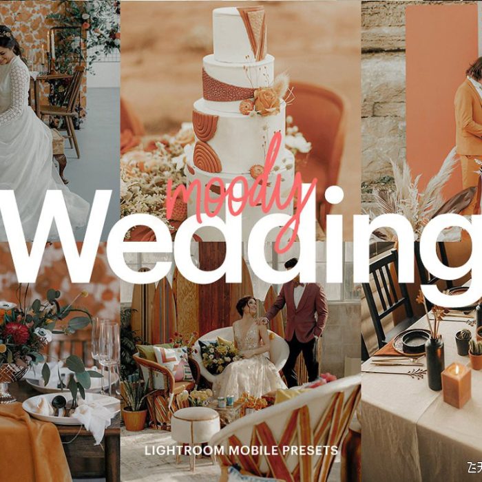 [婚礼LR预设]喜怒无常电影胶片婚礼LR预设/手机版滤镜Wedding Moody  Preset
