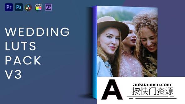20个婚礼跟拍MV视频电影剪辑调色LUT预设第三季  Wedding Luts V3
