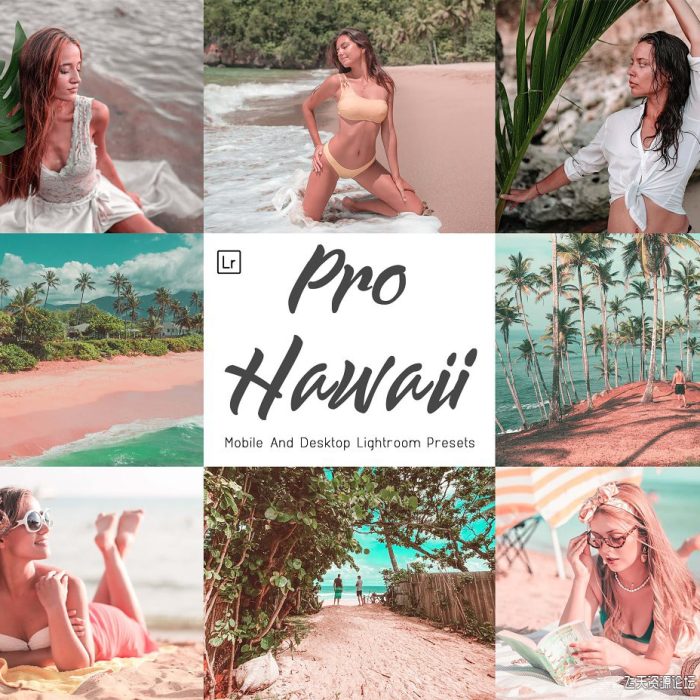 [旅拍LR预设]夏威夷旅拍写真Insta人像Lightroom预设与APP预设 Hawaii Mobile and Lightroom