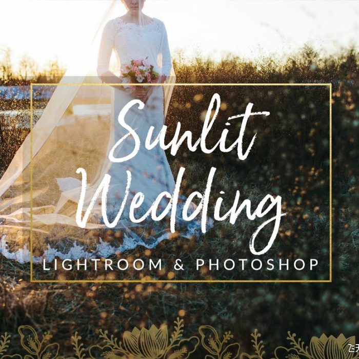 [婚礼LR预设]阳光下的婚礼Lightroom预设与Photoshop (xmp)预设 Sunlit Wedding Presets
