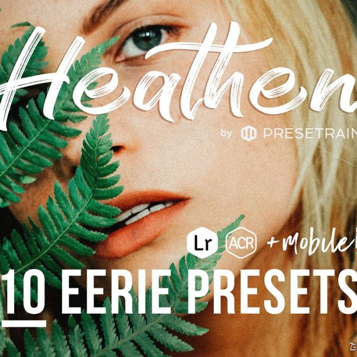 [人像LR预设]灵异恐怖色调人像LR预设/移动APP调色滤镜 Presetrain – Heathen Eerie Presets