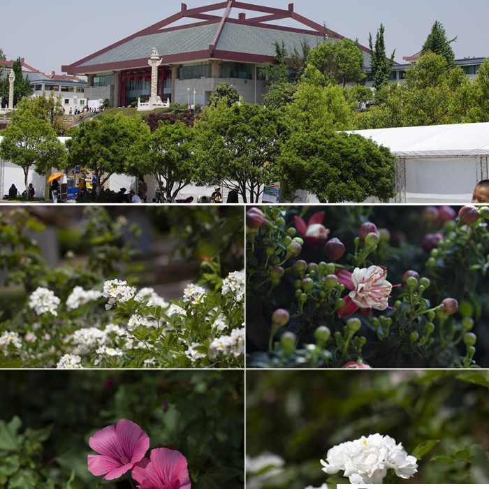 [建筑风光RAW原图]40张公园花卉风光摄影RAW原图,风光后期修图RAW素材