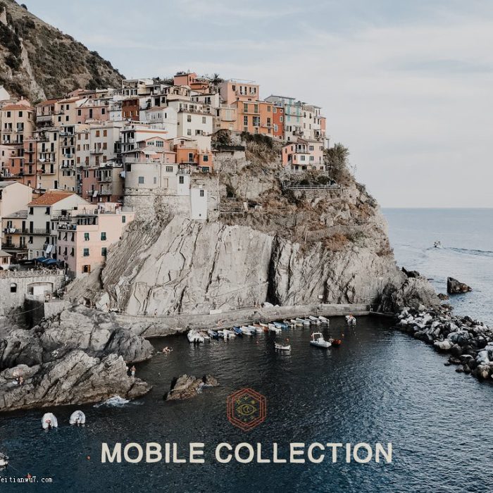 [手机版lr预设]艺术胶片移动手机版Lightroom预设下载 Vivid Presets Mobile