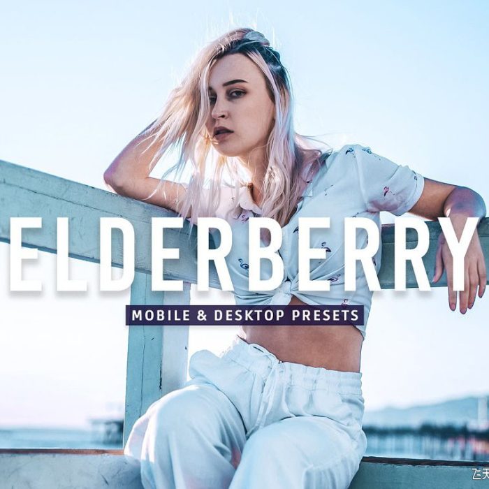 [人像LR预设]蓝调电影胶片人像调色Lightroom预设 Elderberry Pro Lightroom Presets