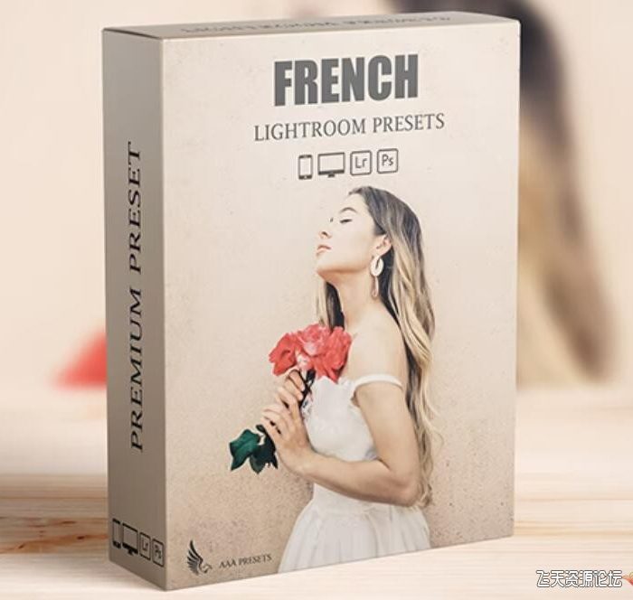 [婚礼LR预设]旅拍婚礼复古胶片Lightroom预设 Blogger Travel Lightroom Presets