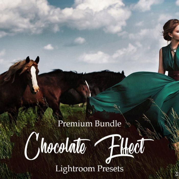 [人像LR预设]巧克力胶片人像LR预设/手机APP预设Chocolate Effect Lightroom Presets