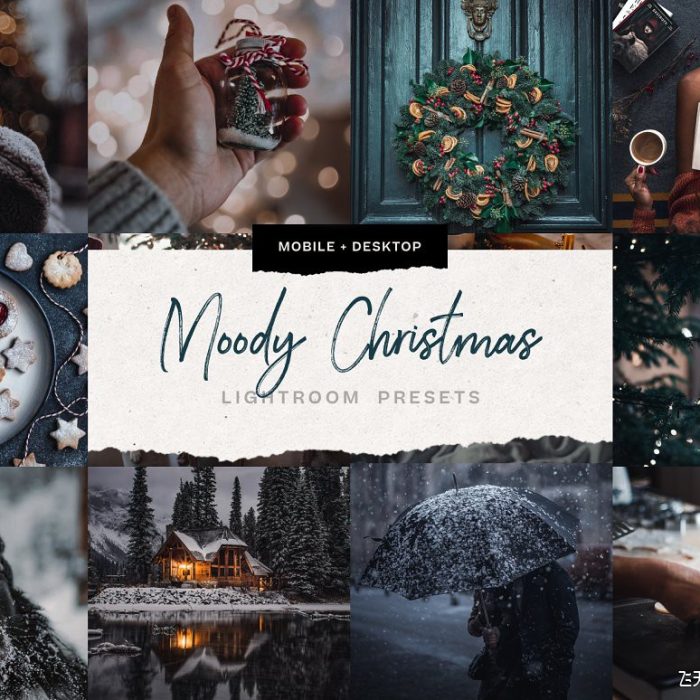 [胶片LR预设]喜怒无常情绪电影胶片后期调色Lightroom预设 Moody Christmas Presets
